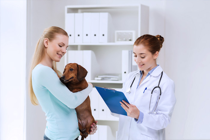 ЭЦП для оформления ветеринарных сертификатов (ГИС Меркурий) в Калуге
